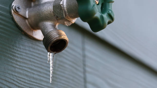 Best Commercial Plumbing Services  in Nicholson, MS